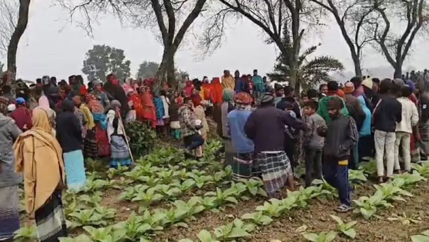 মেহেরপুরের গাংনীতে যুবদল নেতার গলাকাটা লাশ উদ্ধার