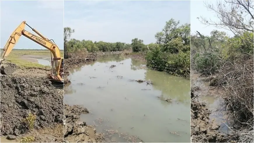 সোনাদিয়া দ্বীপের পরিবেশ বিপর্যয়: জলবায়ু পরিবর্তন ও অবৈধ দখল